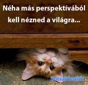 1555471_664010183642043_1081695393_n