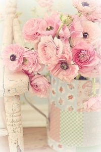 1908053_546373225460137_1168378409_n