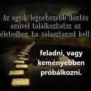 1146606_638040306249281_801242107_n