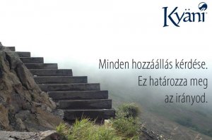 1545776_213162992207120_1389548197_n