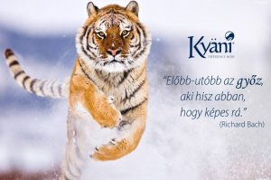 1601550_215141648675921_2053193170_n