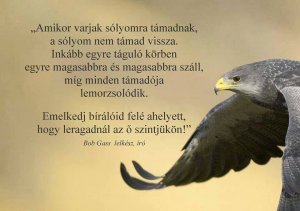 1622194_429796917166477_1883511283_n